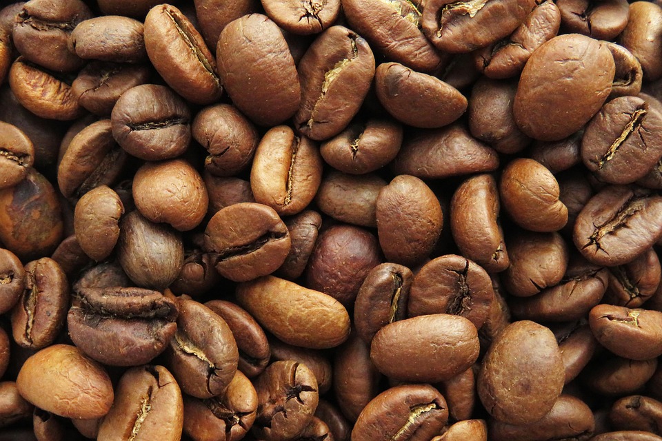 Top 10 Hario Manual Grinders India