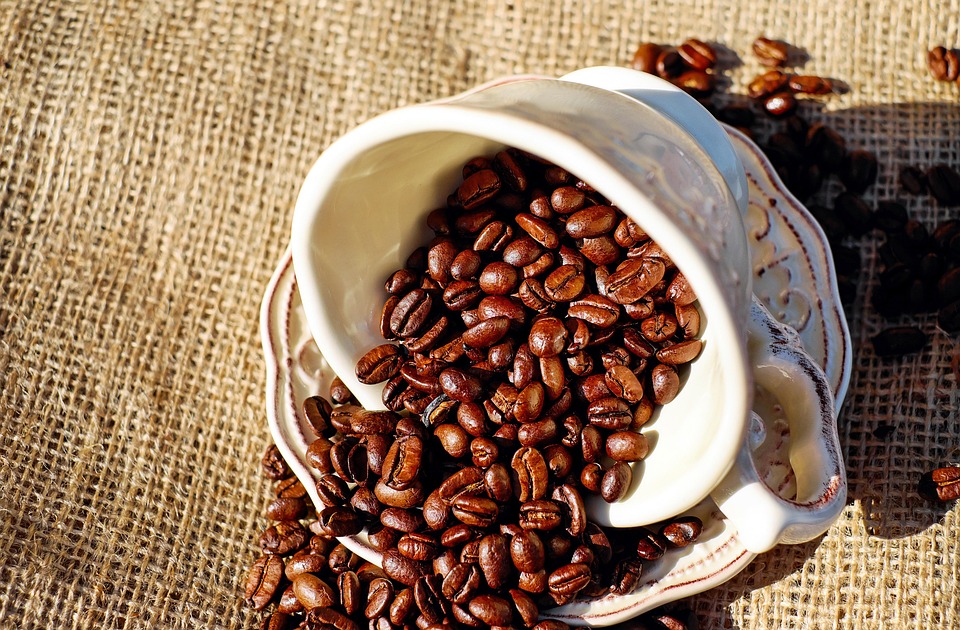Top 10 Picopresso Alternatives India