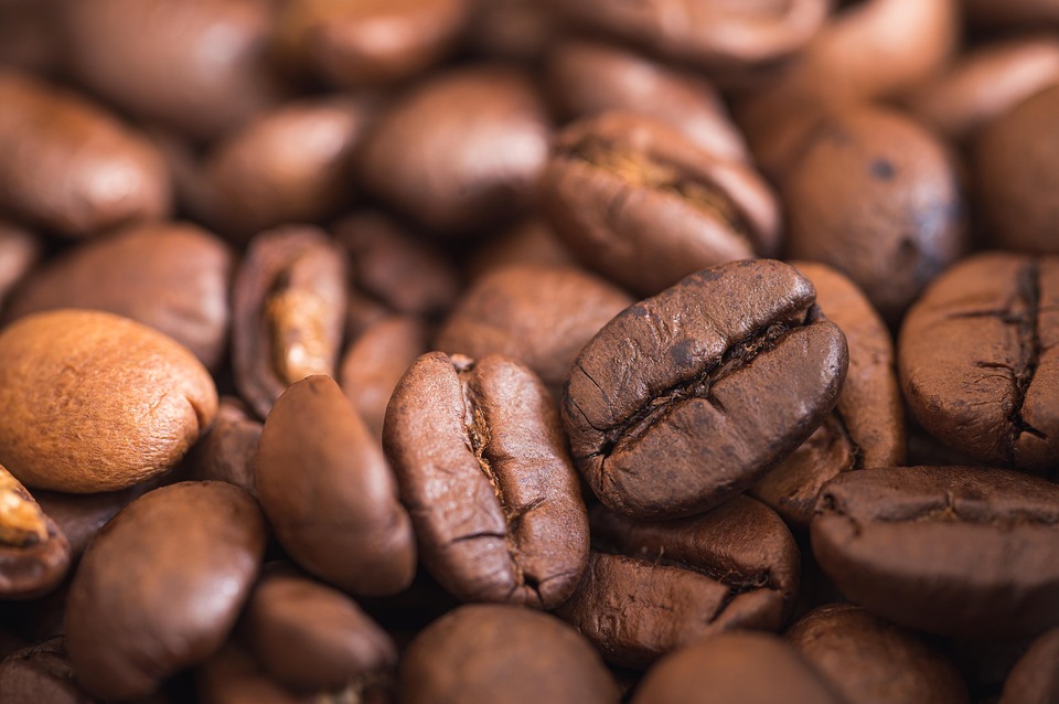 Top 10 Coffee WDT Tools India